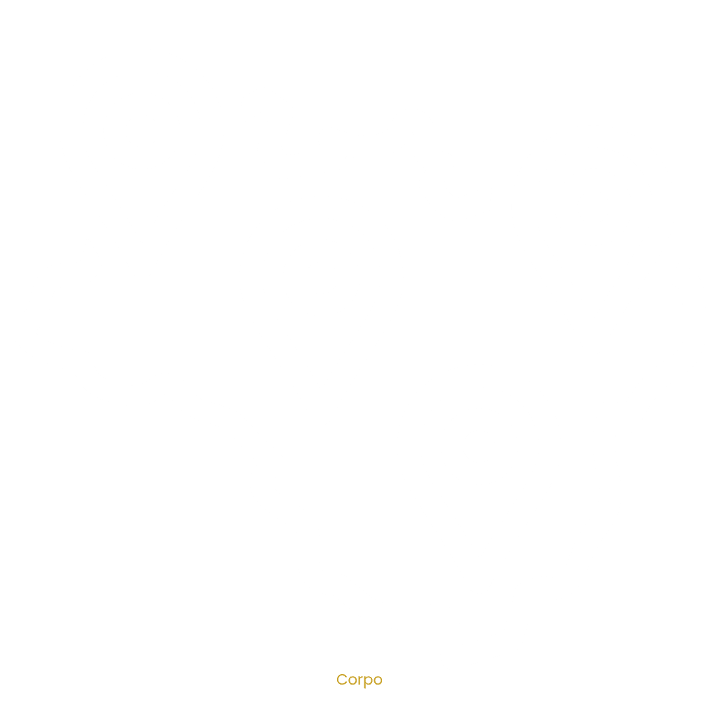 Elemento de Mapa